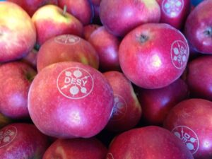 apples-laser-marking